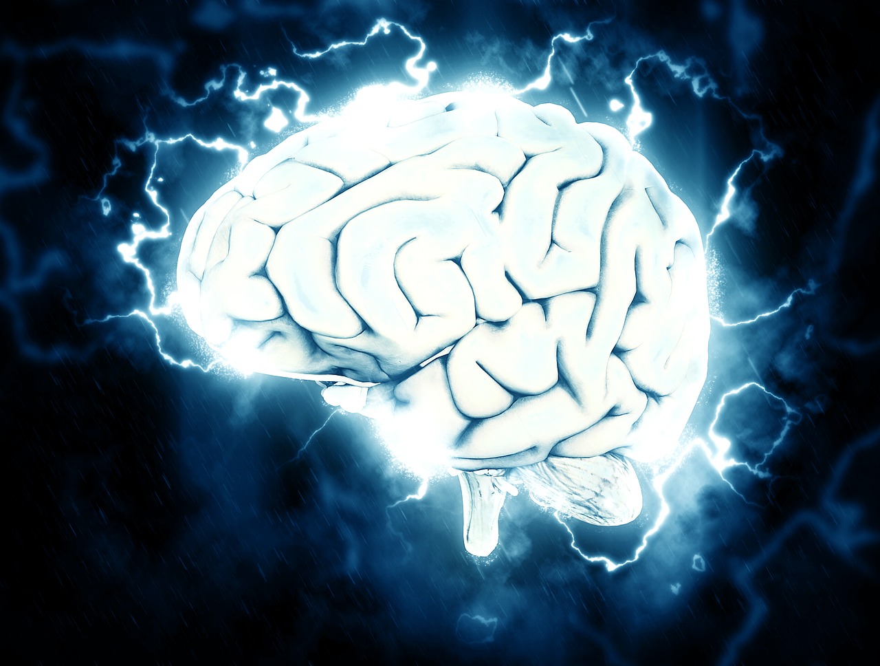 Décodage biologique du message Oummain sur la « Neurentropie »